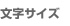 文字サイズ