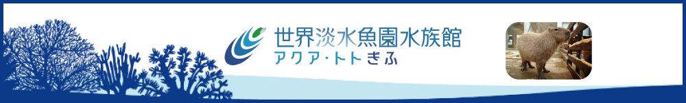 記事アクアトト・ぎふ