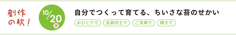 記事苔テラリウム2024