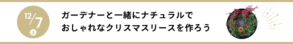 記事クリスマスリース202412
