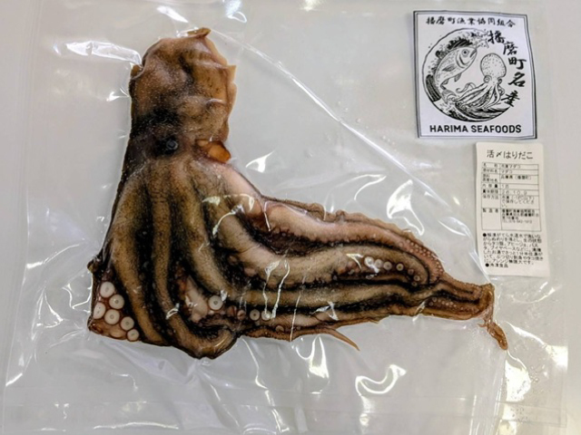 ウォーキング特産品h202608