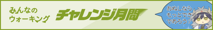 チャレンジ202011